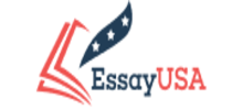 essay writing service